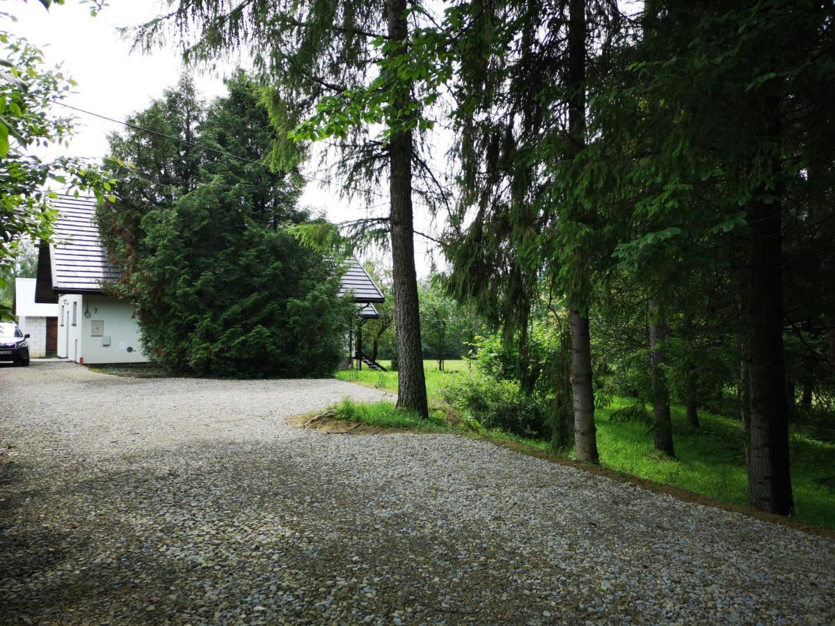 7 Dwerniczek